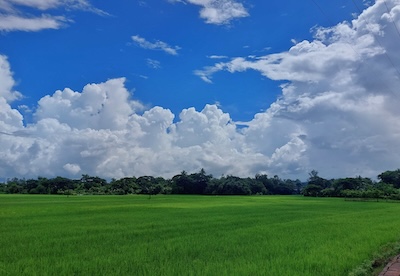 Photography capture