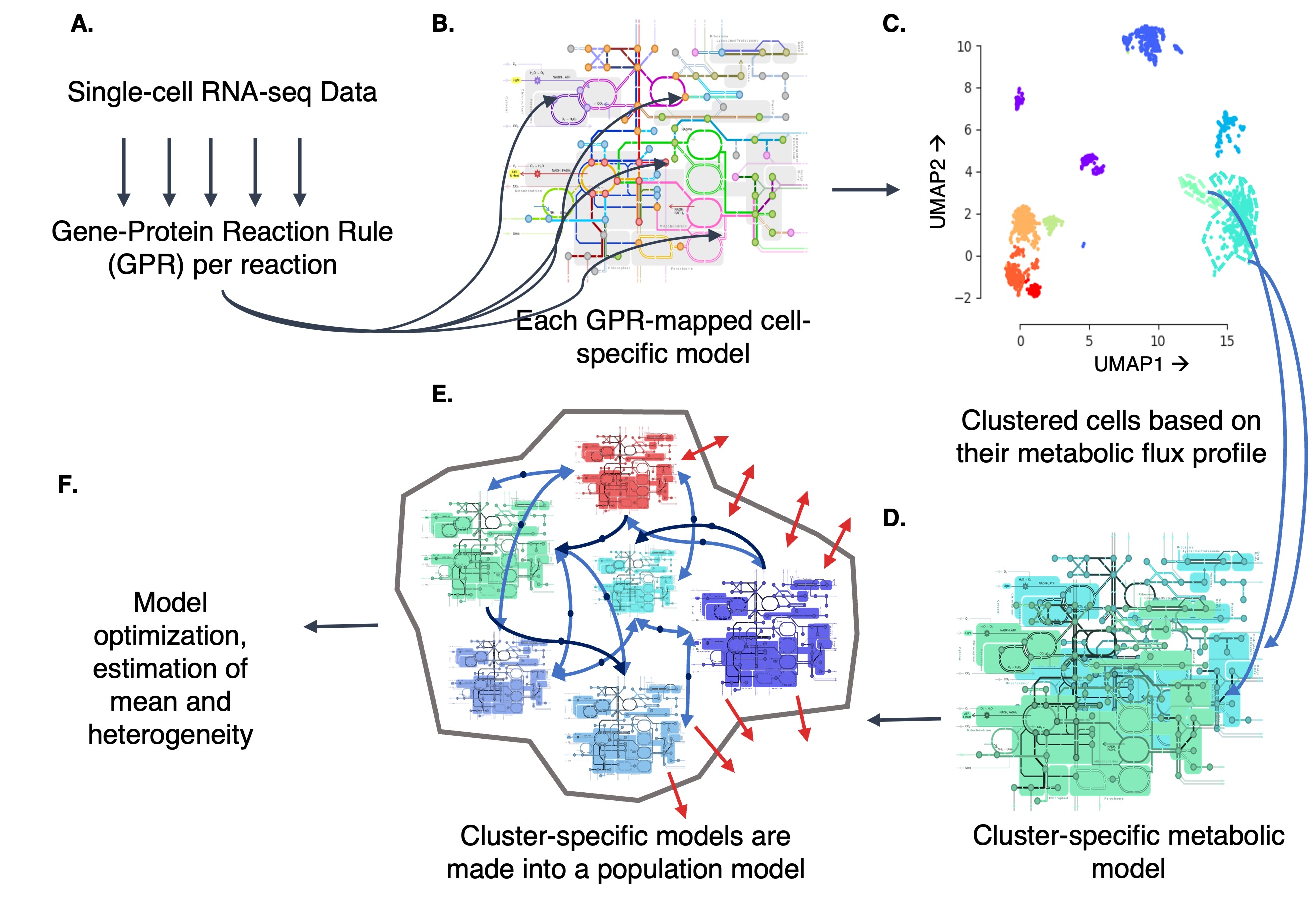 Metabolic heterogeneity research pipeline diagram